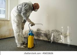 Best Mold Remediation for Healthcare Facilities  in Garberville, CA